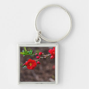 Scarlet Top Key Ring