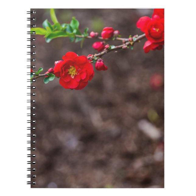 Scarlet Top Notebook (Front)