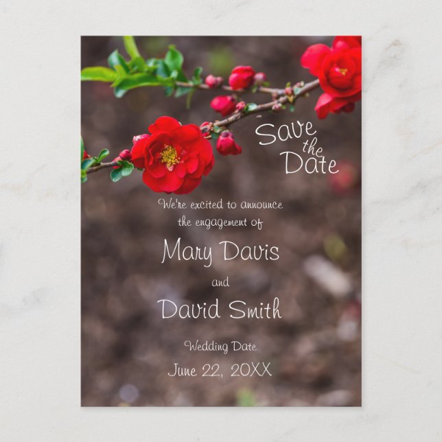 Scarlet Top Wedding Postcard (Front)