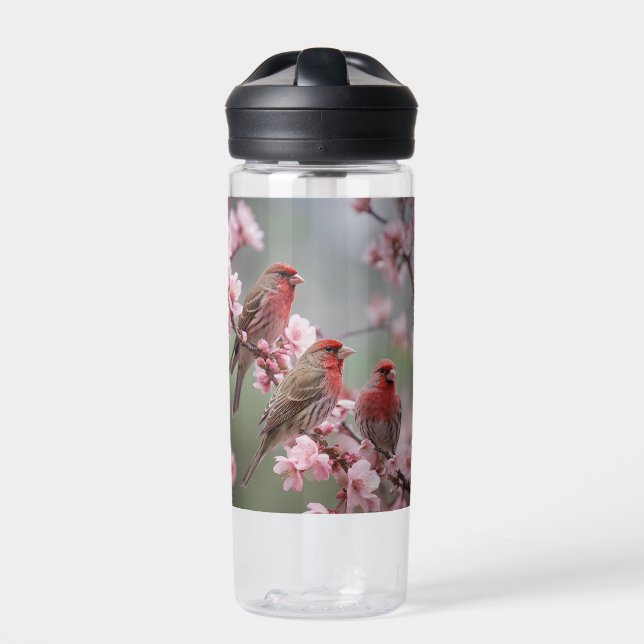 "Scarlet Trio: Red Finches Among Pink Blossoms" Water Bottle (Front)