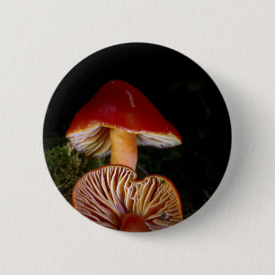 Scarlet Waxcap Mushroom 6 Cm Round Badge