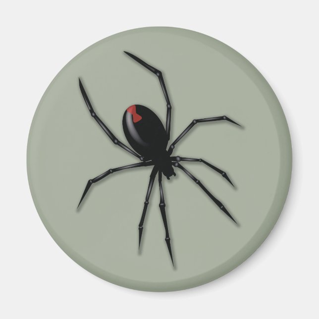 Scary 3D Spider Magnet (Front)