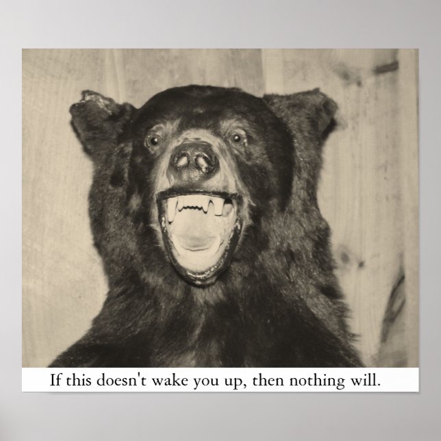 Scary Bear Poster (Front)