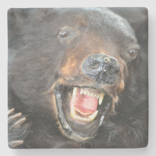 Scary Bear Stone Coaster