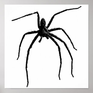 Scary big halloween spider poster