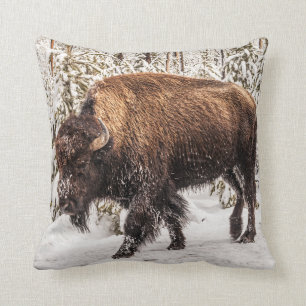 Scary Bison (Bison bison) - Buffalo - Snow Cushion