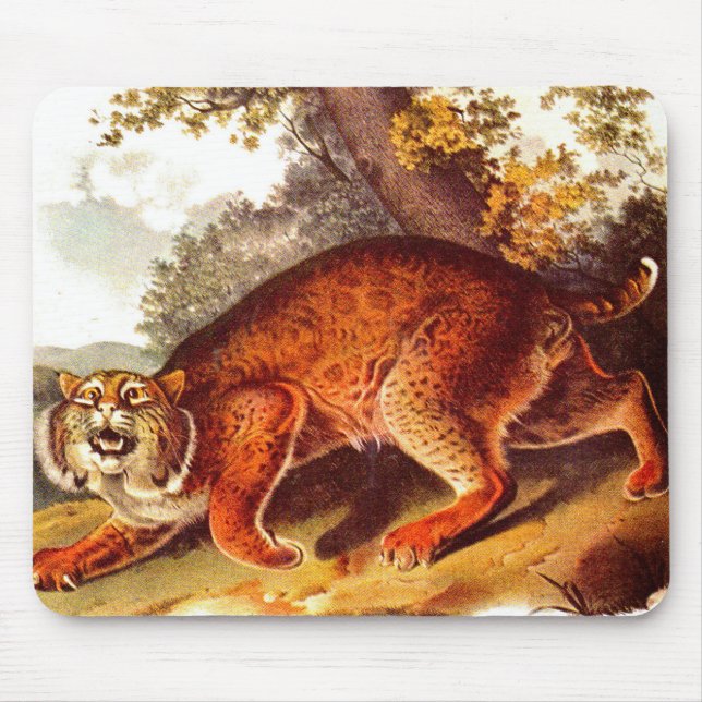 scary bobcat mouse mat (Front)
