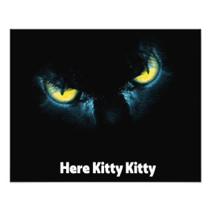 Scary cat eyes on a black background photo print