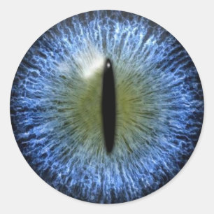 Scary Halloween Cat Eyeball Classic Round Sticker