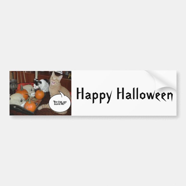 Scary Halloween Cats Bumper Sticker (Front)