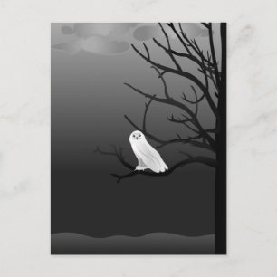 Scary Halloween Night Postcard