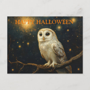 Scary Halloween Night with Owls Postcard