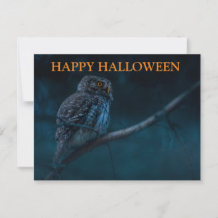 Scary Halloween Night with Owls Postcard