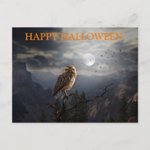 Scary Halloween Night with Owls Postcard