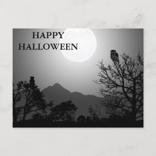 Scary Halloween Night with Owls Postcard