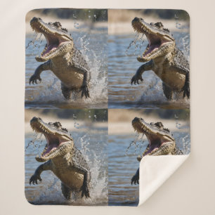 Scary Jaws: Australian Crocodile Leaping Sherpa Blanket