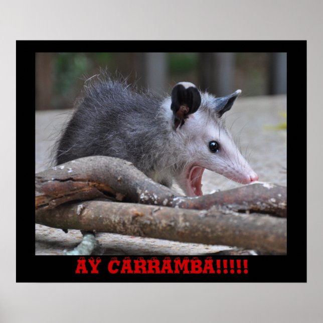 Scary Possum - Poster (Front)