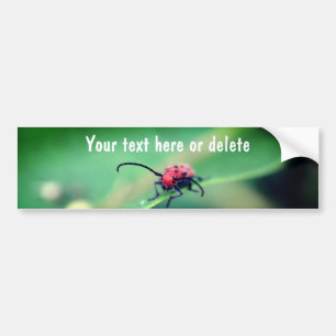 Scary Red Spotted Beetle Nature Personalized Bumper Sticker