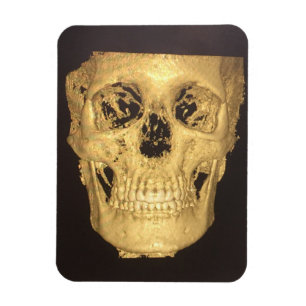 Scary Skull Magnet