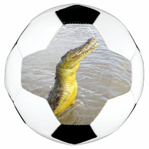 Scary Snappers: The Leap of the Crocodile, Football