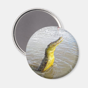 Scary Snappers: The Leap of the Crocodile, Magnet