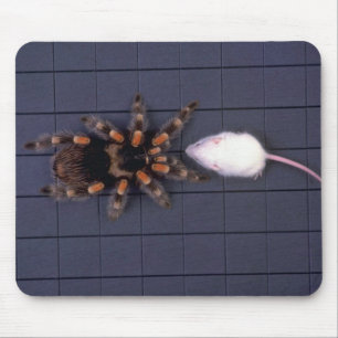 Scary Tarantula spider and white mouse Mat