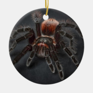 Scary Tarantula Spider Arachnophobia Ceramic Tree Decoration