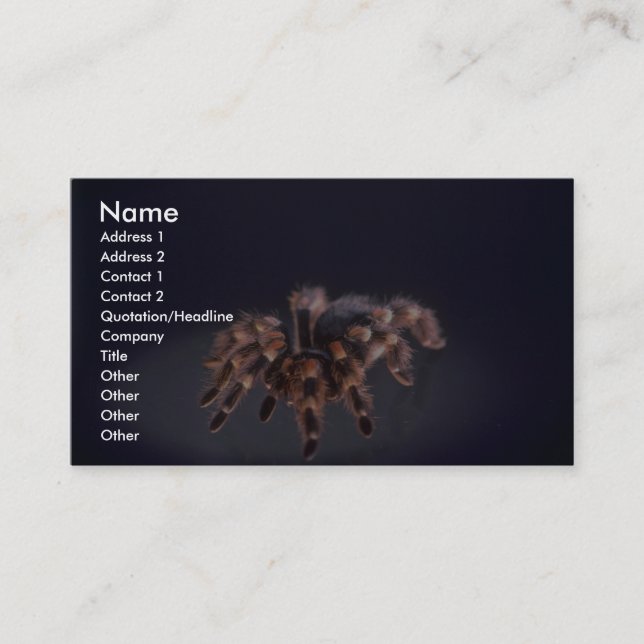 Scary Tarantula spider Business Card (Front)