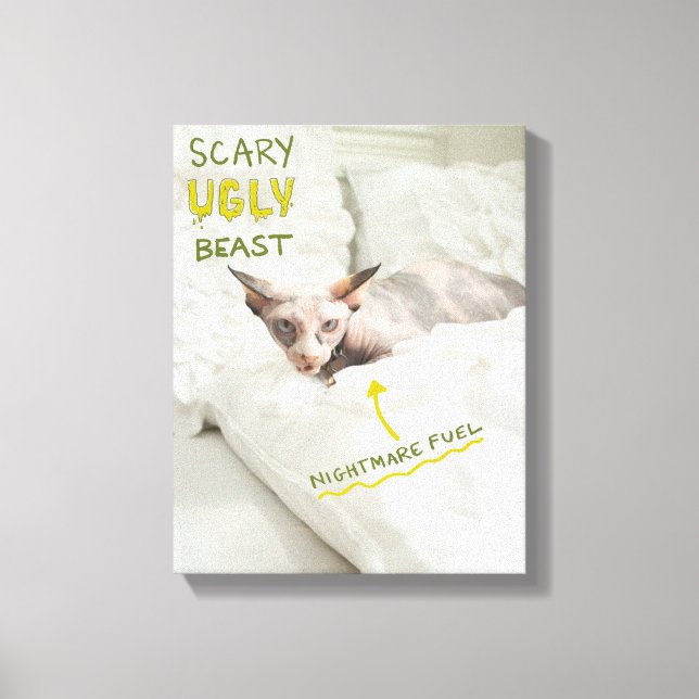 Scary Ugly Cat Canvas Print (Front)