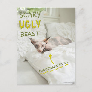 Scary Ugly Cat Postcard