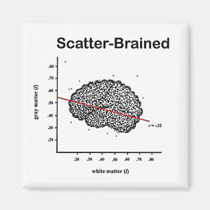 Scatter-Brained Magnet