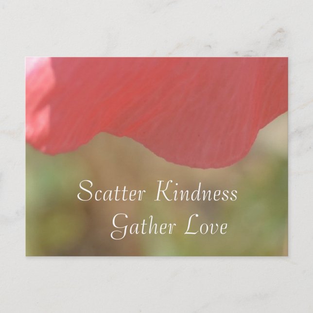 Scatter Kindness Pink Poppy Flower Postcard (Front)