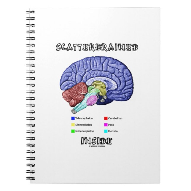 Scatterbrained Inside Brain Geek Humor Notebook (Front)