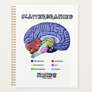 Scatterbrained Inside Brain Geek Humour Planner
