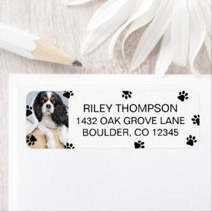Scattered Black Paws Pet Photo Return Address
