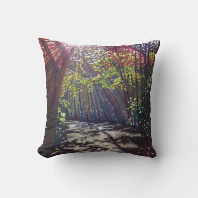 Scattered light 2013 cushion (Front)