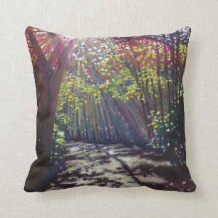 Scattered light 2013 cushion