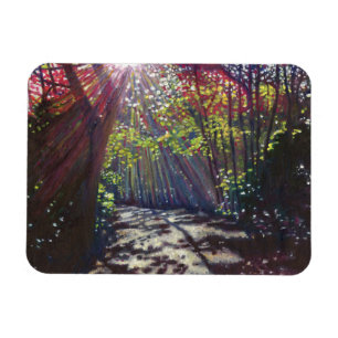 Scattered light 2013 magnet