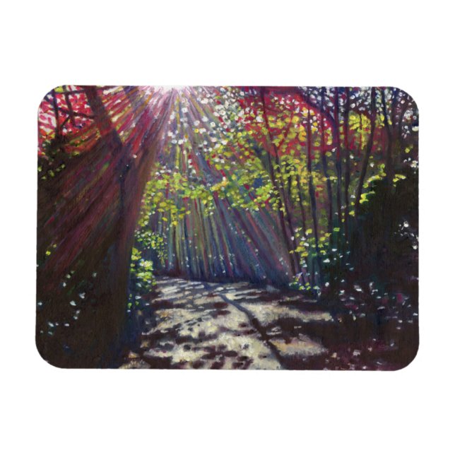 Scattered light 2013 magnet (Horizontal)
