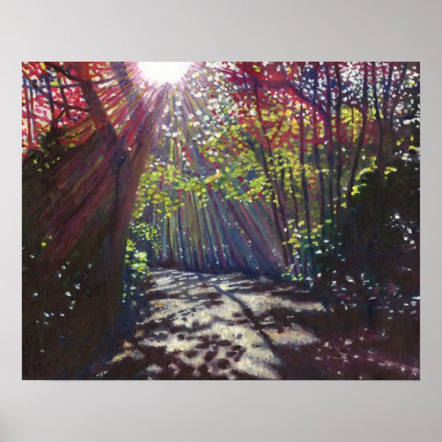 Scattered light 2013 poster (Front)