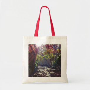 Scattered light 2013 tote bag