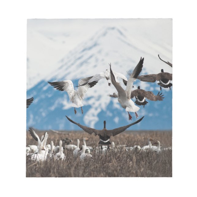 Scattering Geese Notepad (Front)