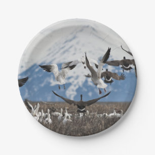 Scattering Geese Paper Plate