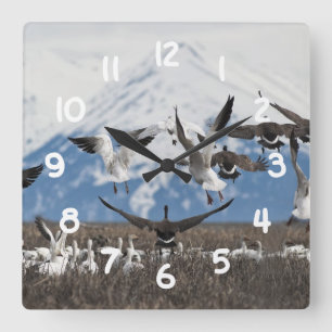 Scattering Geese Square Wall Clock