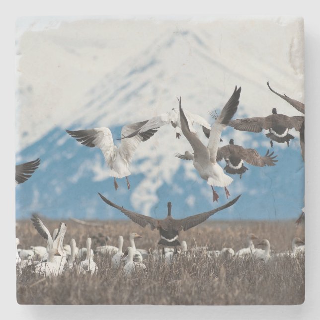 Scattering Geese Stone Coaster (Front)