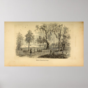 Scene at Tampa Bay Poster