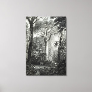 Scene in a Brazilian Forest engraved by Canvas Print