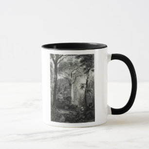Scene in a Brazilian Forest engraved by Mug