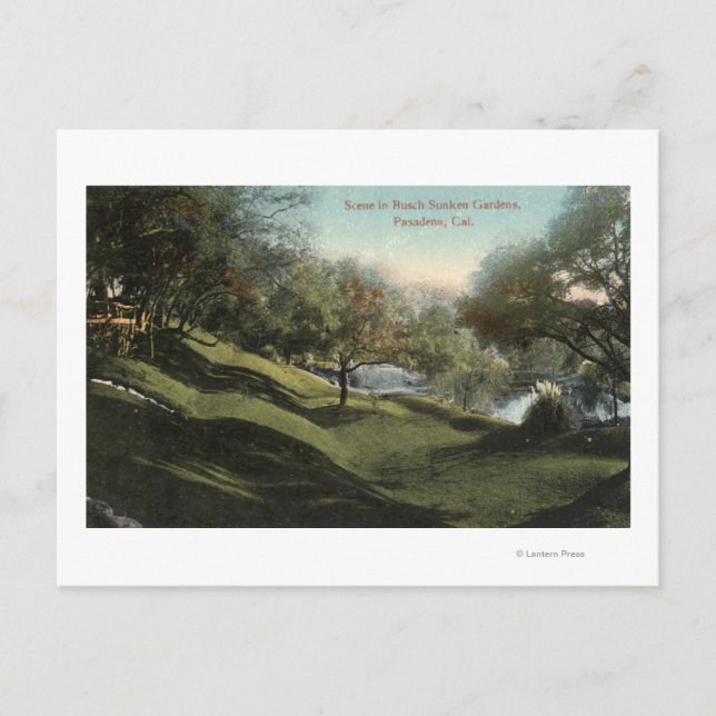 Scene in Busch Sunken Gardens Postcard (Front)