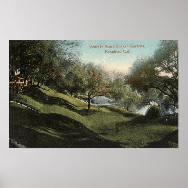Scene in Busch Sunken Gardens Poster (Front)